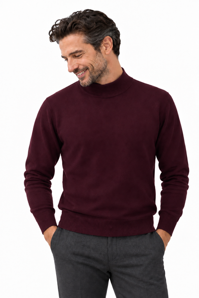 Contour – Stehkragen-Pullover für Herren – Bordeaux – 100% Cashmere