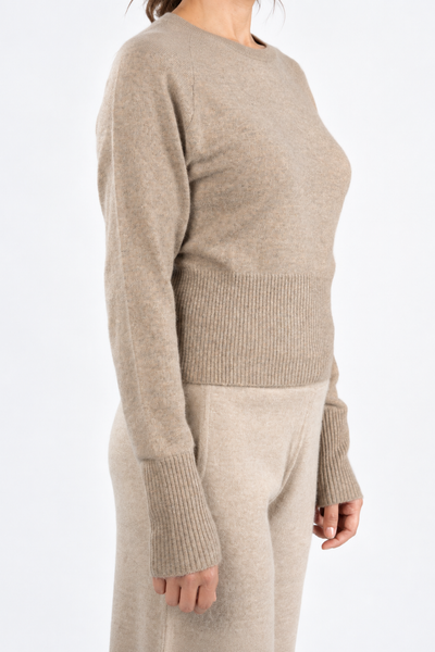 Shortline – Maglia corta a girocollo – Marrone scuro naturale – Vista G131 [ND-2083-C13110]